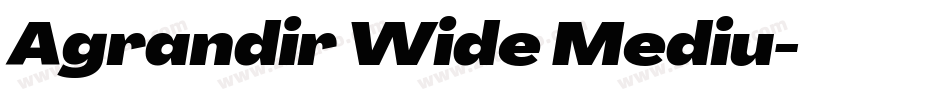 Agrandir Wide Mediu字体转换